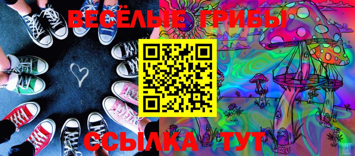 как найти наркотики  Вход с VPN  Воскресенск  Галлюциногенные грибы Psilocybine cubensis 