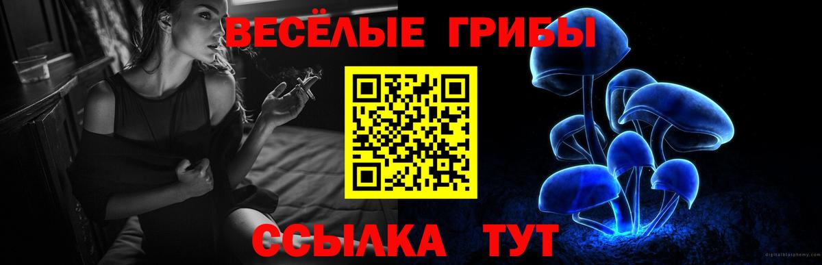 Псилоцибиновые грибы ЛСД Воскресенск